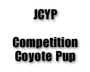 JCYP