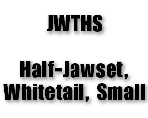 JWTHS