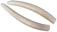 12-8105