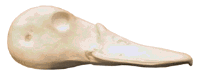 2-K103