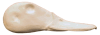 2-K105