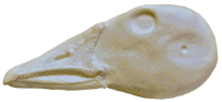 2-K134