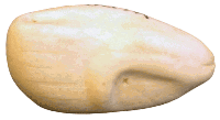 2-WDB-2F