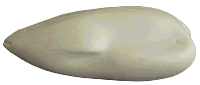 WF01