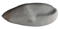 WF37