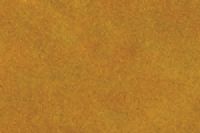 20-SP002