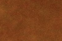 20-SP004
