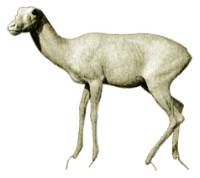 3-122341