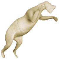 3-152202