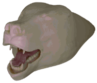 3-2006-5