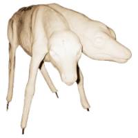 3-5421