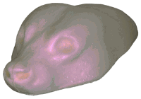 3-56