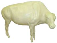 3-567W