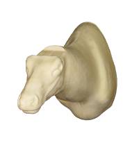 3-6476