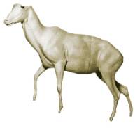 3-652380