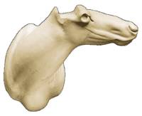 3-7557