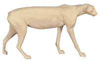3-JAC-100