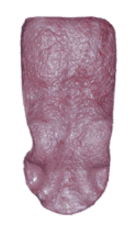 TS005