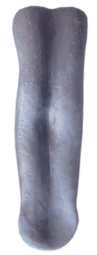 T026