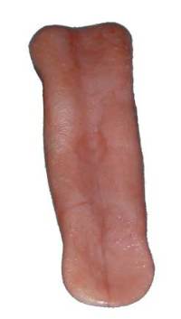 T025