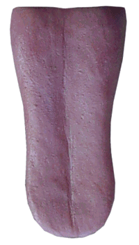 TH024