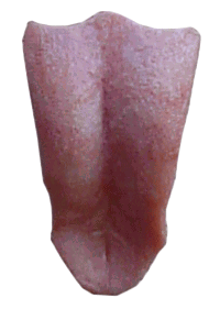 T030