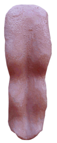TS014
