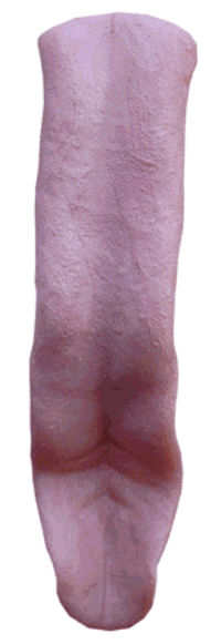 T027