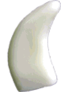 6-8031