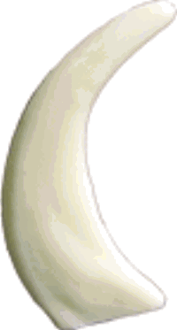 6-8034