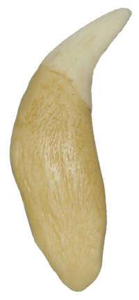 6-8082
