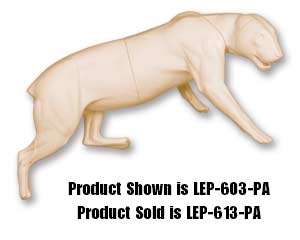 LEP-613-PA