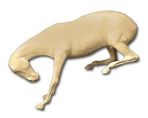 LHS-604