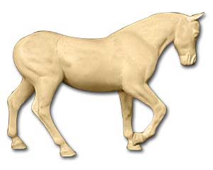 LHS-606