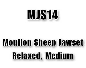MJS14