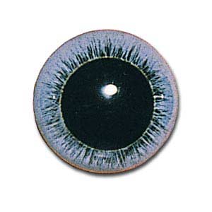 NCH10BL