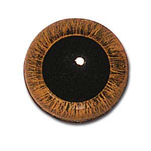 NCH10LB