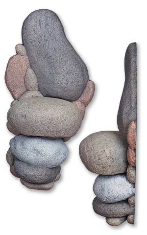 NR110