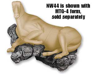 NW44