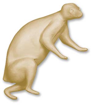 NZP