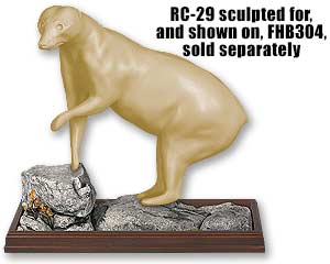 RC-29