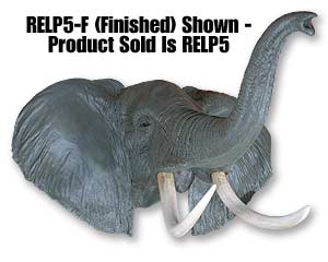 RELP5
