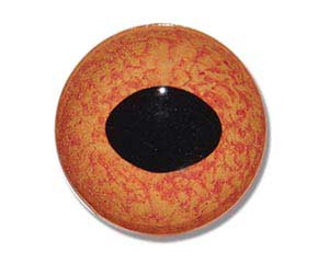 RO12P