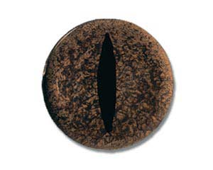 RS18CT