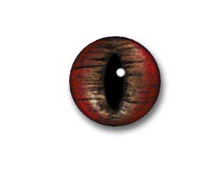 Glass Eyes One Pair 26MM Fish taxidermy Red Gold 