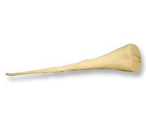 TAIL2