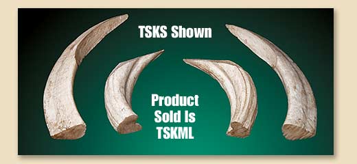 TSKML