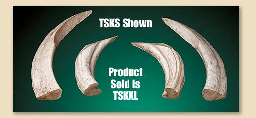 TSKXL
