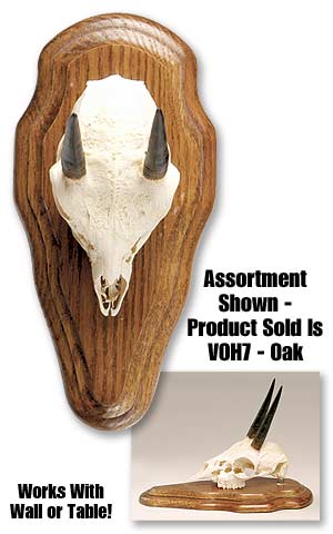 VOH7
