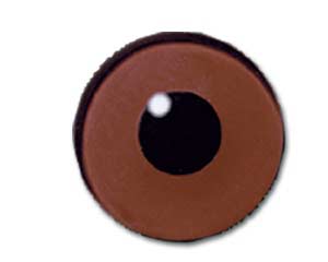 W11BRN